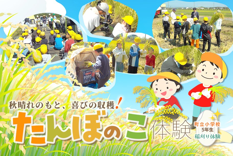 りゅうすくニュース「町立小学校5年生のたんぼのこ稲刈り体験」
