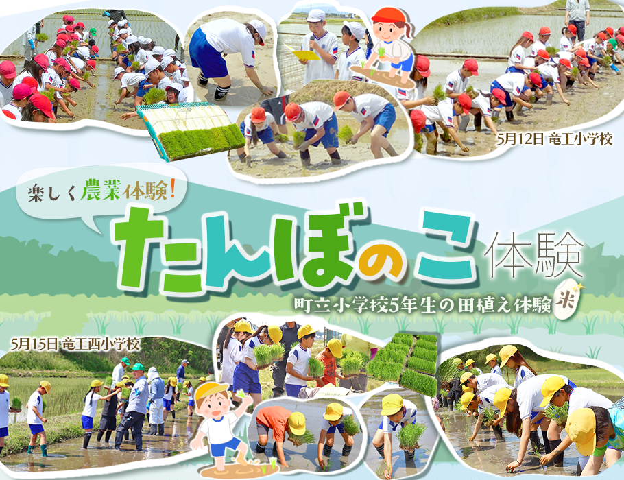 りゅうすくニュース「町立小学校5年生のたんぼのこ体験」